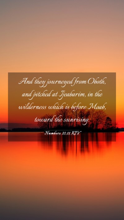Picture 03 - Numbers 21:11 KJV Mobile Phone Wallpaper - And they journeyed from Oboth, and pitched at - Mobile Bible Verse Wallpaper
