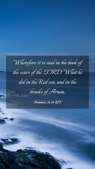Picture 03 - Numbers 21:14 KJV Mobile Phone Wallpaper - Wherefore it is said in the book of the wars of - Mobile Bible Verse Wallpaper