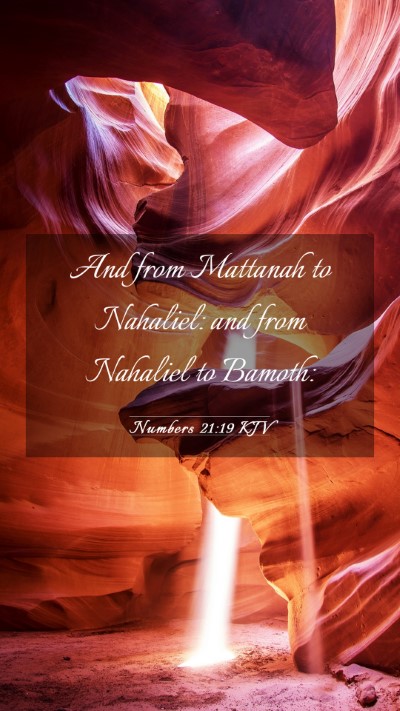 Picture 03 - Numbers 21:19 KJV Mobile Phone Wallpaper - And from Mattanah to Nahaliel: and from Nahaliel - Mobile Bible Verse Wallpaper