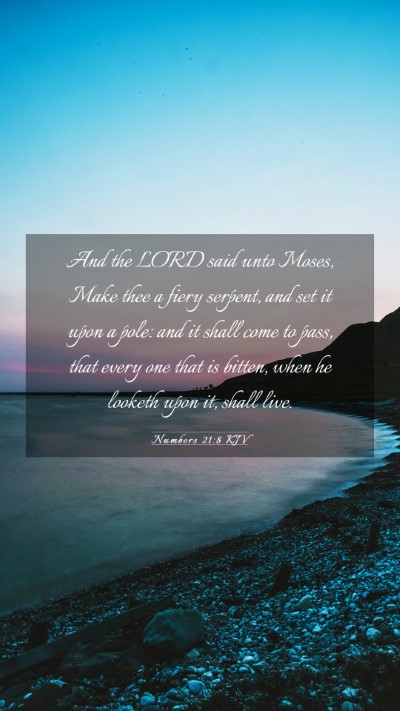 Picture 03 - Numbers 21:8 KJV Mobile Phone Wallpaper - And the LORD said unto Moses, Make thee a fiery - Mobile Bible Verse Wallpaper