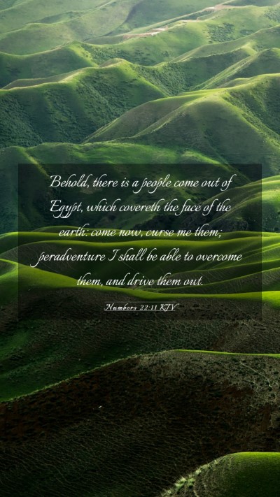 Picture 03 - Numbers 22:11 KJV Mobile Phone Wallpaper - Behold, there is a people come out of Egypt, - Mobile Bible Verse Wallpaper