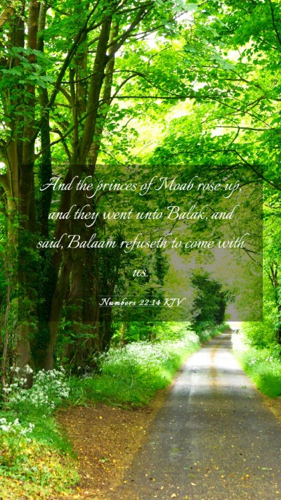 Picture 03 - Numbers 22:14 KJV Mobile Phone Wallpaper - And the princes of Moab rose up, and they went - Mobile Bible Verse Wallpaper