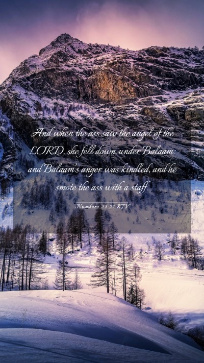 Picture 03 - Numbers 22:27 KJV Mobile Phone Wallpaper - And when the ass saw the angel of the LORD, she - Mobile Bible Verse Wallpaper