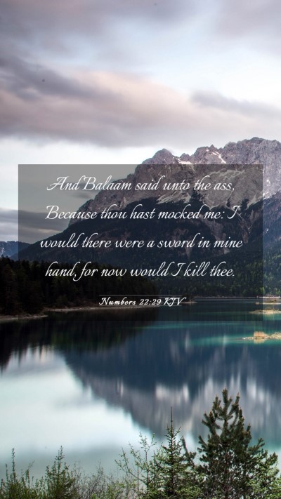 Picture 03 - Numbers 22:29 KJV Mobile Phone Wallpaper - And Balaam said unto the ass, Because thou hast - Mobile Bible Verse Wallpaper