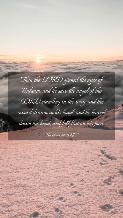 Picture 03 - Numbers 22:31 KJV Mobile Phone Wallpaper - Then the LORD opened the eyes of Balaam, and he - Mobile Bible Verse Wallpaper