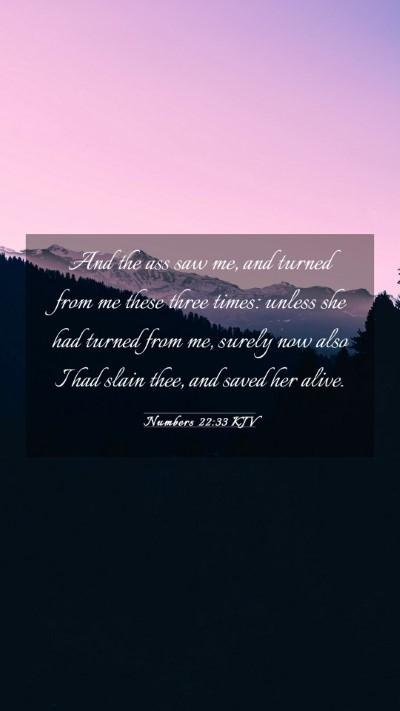 Picture 03 - Numbers 22:33 KJV Mobile Phone Wallpaper - And the ass saw me, and turned from me these - Mobile Bible Verse Wallpaper