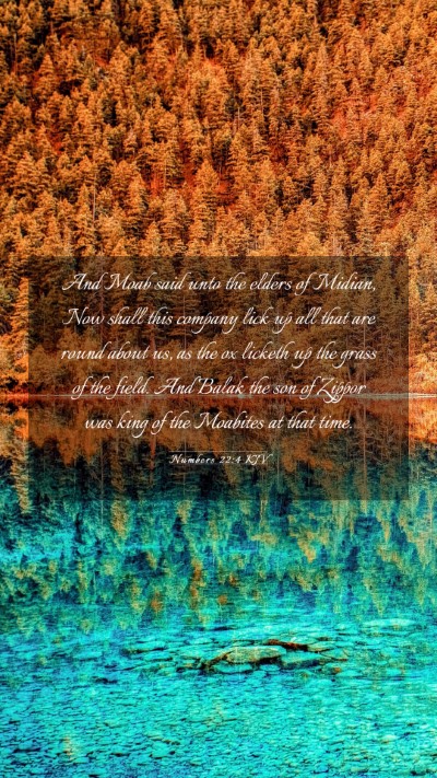 Picture 03 - Numbers 22:4 KJV Mobile Phone Wallpaper - And Moab said unto the elders of Midian, Now - Mobile Bible Verse Wallpaper