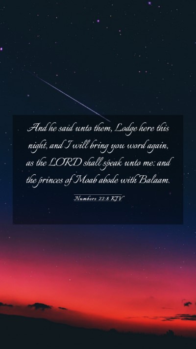 Picture 03 - Numbers 22:8 KJV Mobile Phone Wallpaper - And he said unto them, Lodge here this night, and - Mobile Bible Verse Wallpaper