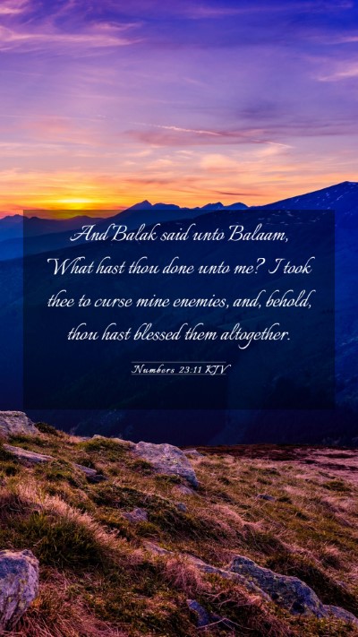 Picture 03 - Numbers 23:11 KJV Mobile Phone Wallpaper - And Balak said unto Balaam, What hast thou done - Mobile Bible Verse Wallpaper