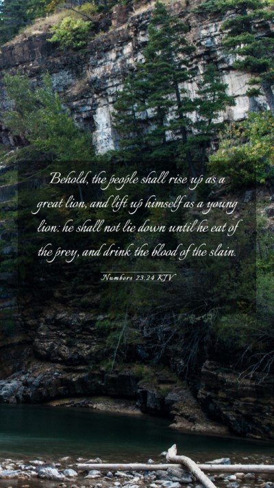 Picture 03 - Numbers 23:24 KJV Mobile Phone Wallpaper - Behold, the people shall rise up as a great lion, - Mobile Bible Verse Wallpaper