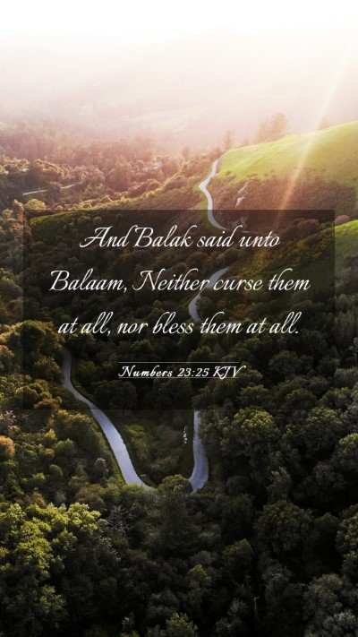 Picture 03 - Numbers 23:25 KJV Mobile Phone Wallpaper - And Balak said unto Balaam, Neither curse them at - Mobile Bible Verse Wallpaper
