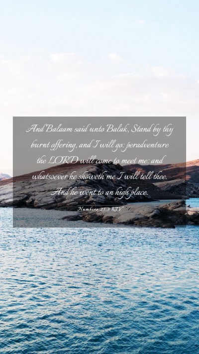 Picture 03 - Numbers 23:3 KJV Mobile Phone Wallpaper - And Balaam said unto Balak, Stand by thy burnt - Mobile Bible Verse Wallpaper