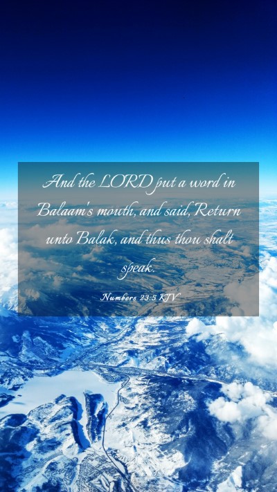 Picture 03 - Numbers 23:5 KJV Mobile Phone Wallpaper - And the LORD put a word in Balaam's mouth, and - Mobile Bible Verse Wallpaper