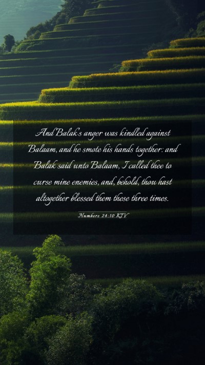 Picture 03 - Numbers 24:10 KJV Mobile Phone Wallpaper - And Balak's anger was kindled against Balaam, and - Mobile Bible Verse Wallpaper