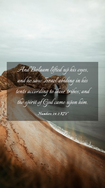 Picture 03 - Numbers 24:2 KJV Mobile Phone Wallpaper - And Balaam lifted up his eyes, and he saw Israel - Mobile Bible Verse Wallpaper