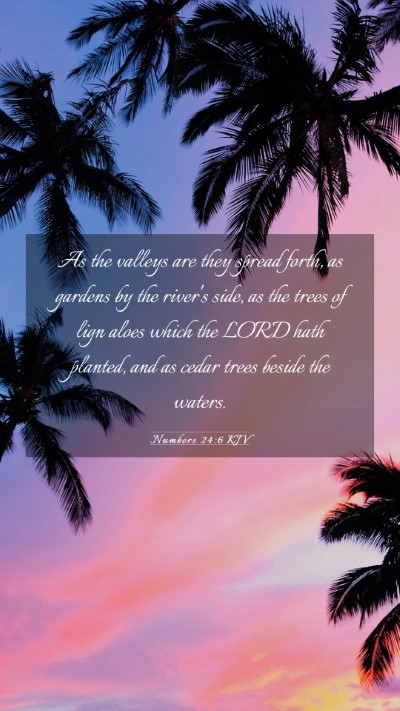 Picture 03 - Numbers 24:6 KJV Mobile Phone Wallpaper - As the valleys are they spread forth, as gardens - Mobile Bible Verse Wallpaper