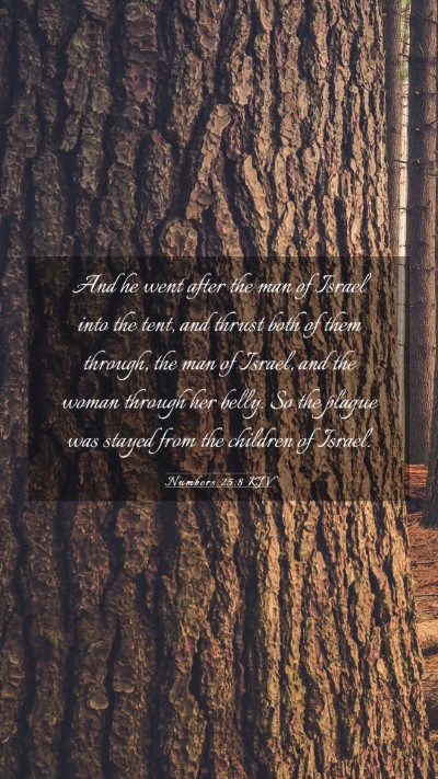 Picture 03 - Numbers 25:8 KJV Mobile Phone Wallpaper - And he went after the man of Israel into the - Mobile Bible Verse Wallpaper