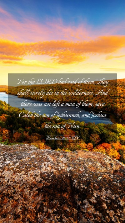Picture 03 - Numbers 26:65 KJV Mobile Phone Wallpaper - For the LORD had said of them, They shall surely - Mobile Bible Verse Wallpaper