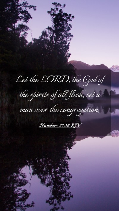 Picture 03 - Numbers 27:16 KJV Mobile Phone Wallpaper - Let the LORD, the God of the spirits of all - Mobile Bible Verse Wallpaper