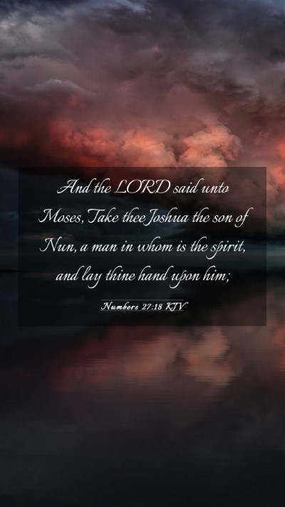 Picture 03 - Numbers 27:18 KJV Mobile Phone Wallpaper - And the LORD said unto Moses, Take thee Joshua - Mobile Bible Verse Wallpaper