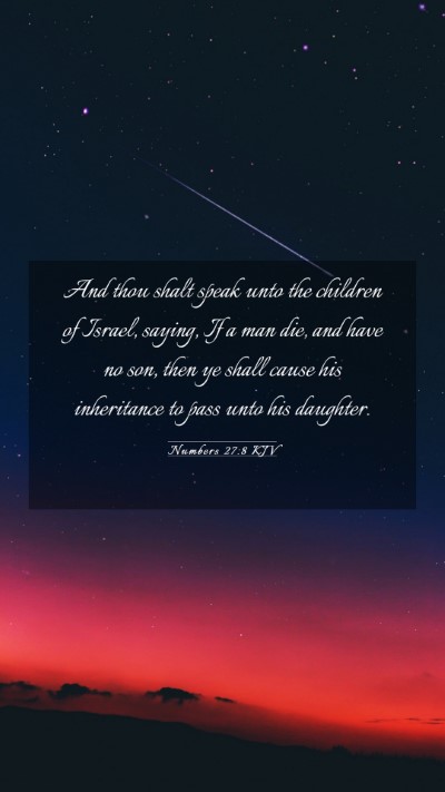 Picture 03 - Numbers 27:8 KJV Mobile Phone Wallpaper - And thou shalt speak unto the children of Israel, - Mobile Bible Verse Wallpaper