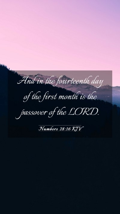 Picture 03 - Numbers 28:16 KJV Mobile Phone Wallpaper - And in the fourteenth day of the first month is - Mobile Bible Verse Wallpaper