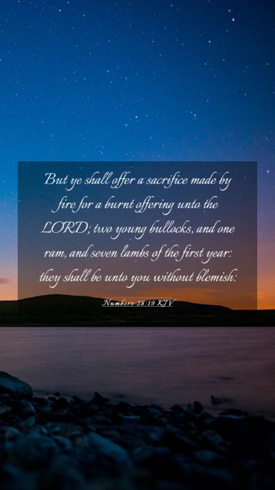 Picture 03 - Numbers 28:19 KJV Mobile Phone Wallpaper - But ye shall offer a sacrifice made by fire for a - Mobile Bible Verse Wallpaper