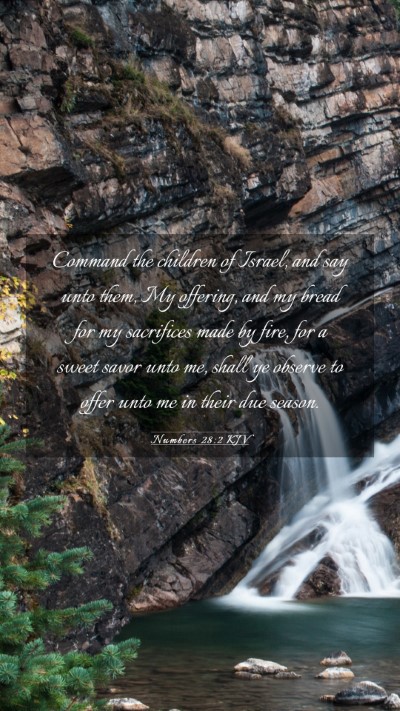 Picture 03 - Numbers 28:2 KJV Mobile Phone Wallpaper - Command the children of Israel, and say unto - Mobile Bible Verse Wallpaper
