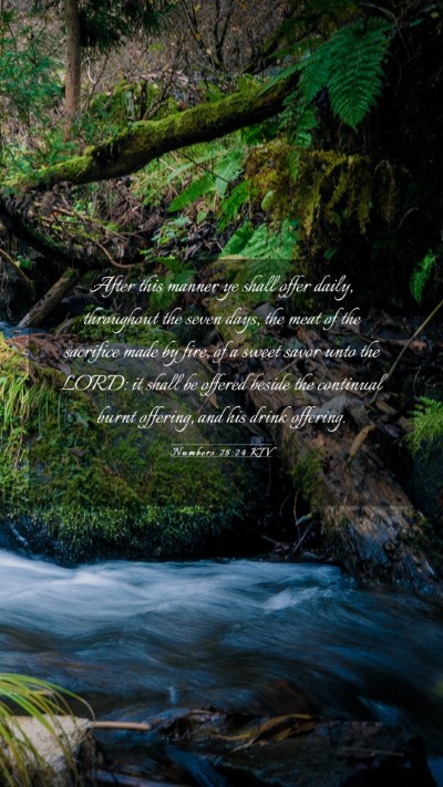 Picture 03 - Numbers 28:24 KJV Mobile Phone Wallpaper - After this manner ye shall offer daily, - Mobile Bible Verse Wallpaper