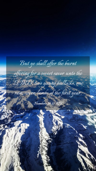 Picture 03 - Numbers 28:27 KJV Mobile Phone Wallpaper - But ye shall offer the burnt offering for a sweet - Mobile Bible Verse Wallpaper