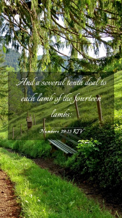 Picture 03 - Numbers 29:15 KJV Mobile Phone Wallpaper - And a several tenth deal to each lamb of the - Mobile Bible Verse Wallpaper