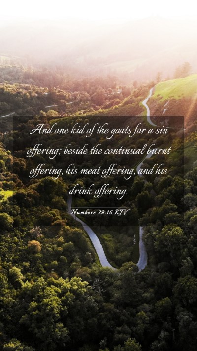 Picture 03 - Numbers 29:16 KJV Mobile Phone Wallpaper - And one kid of the goats for a sin offering; - Mobile Bible Verse Wallpaper