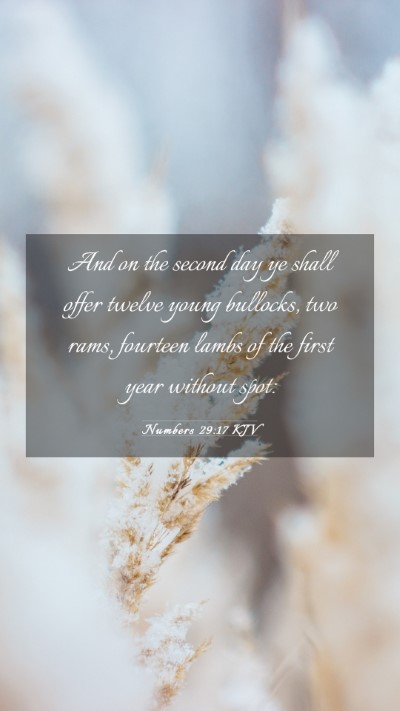 Picture 03 - Numbers 29:17 KJV Mobile Phone Wallpaper - And on the second day ye shall offer twelve young - Mobile Bible Verse Wallpaper
