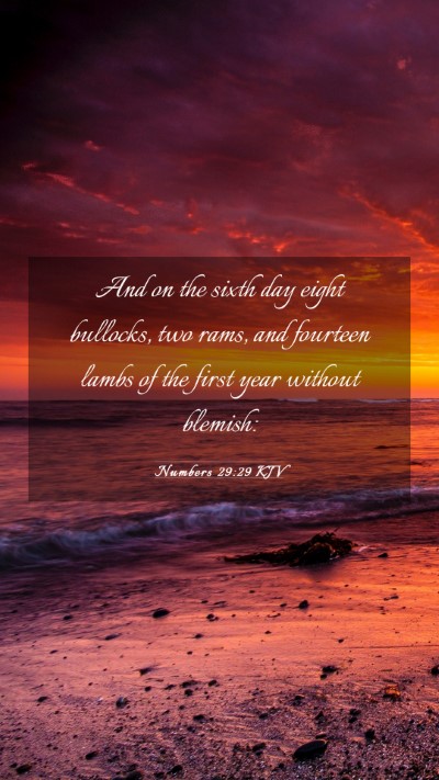 Picture 03 - Numbers 29:29 KJV Mobile Phone Wallpaper - And on the sixth day eight bullocks, two rams, - Mobile Bible Verse Wallpaper