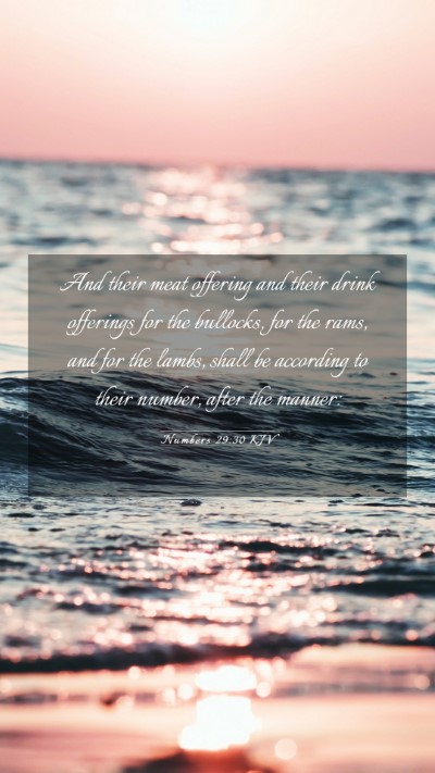 Picture 03 - Numbers 29:30 KJV Mobile Phone Wallpaper - And their meat offering and their drink offerings - Mobile Bible Verse Wallpaper