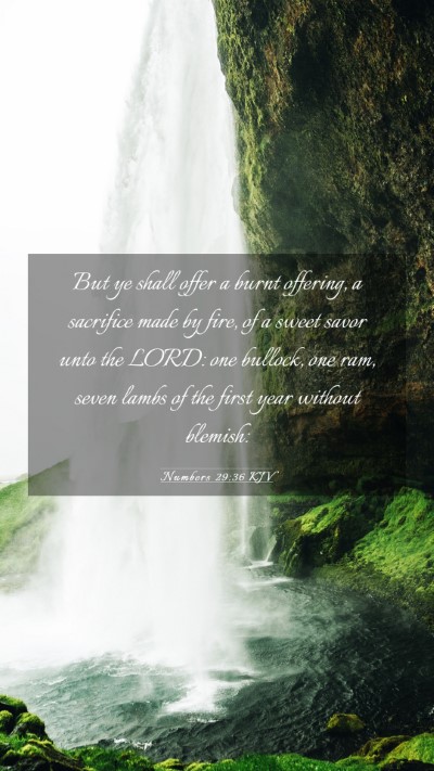 Picture 03 - Numbers 29:36 KJV Mobile Phone Wallpaper - But ye shall offer a burnt offering, a sacrifice - Mobile Bible Verse Wallpaper
