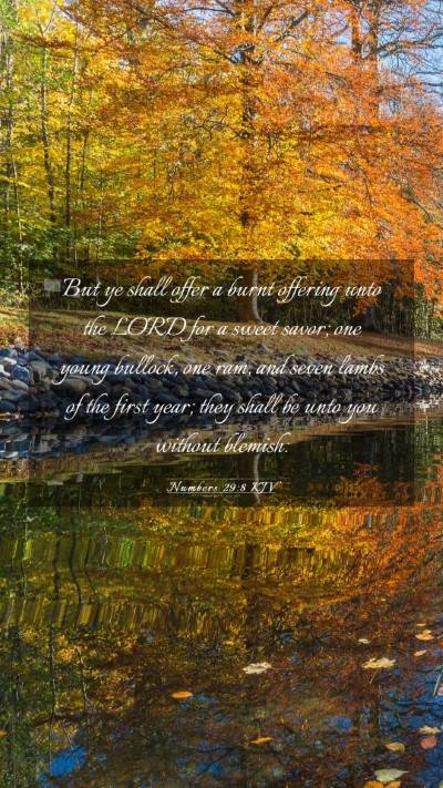 Picture 03 - Numbers 29:8 KJV Mobile Phone Wallpaper - But ye shall offer a burnt offering unto the LORD - Mobile Bible Verse Wallpaper