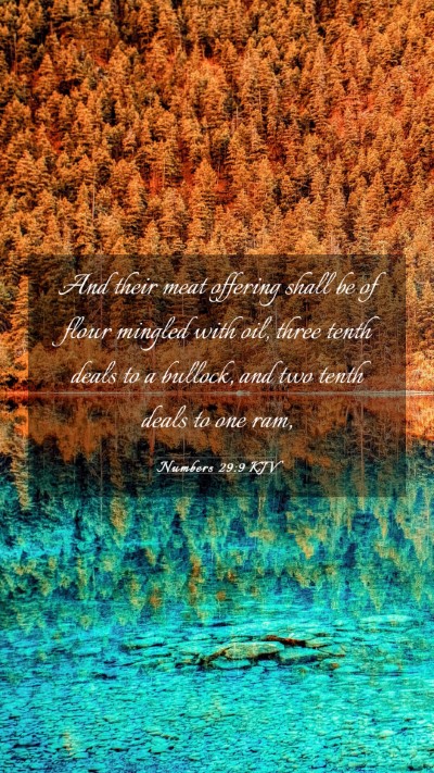Picture 03 - Numbers 29:9 KJV Mobile Phone Wallpaper - And their meat offering shall be of flour mingled - Mobile Bible Verse Wallpaper