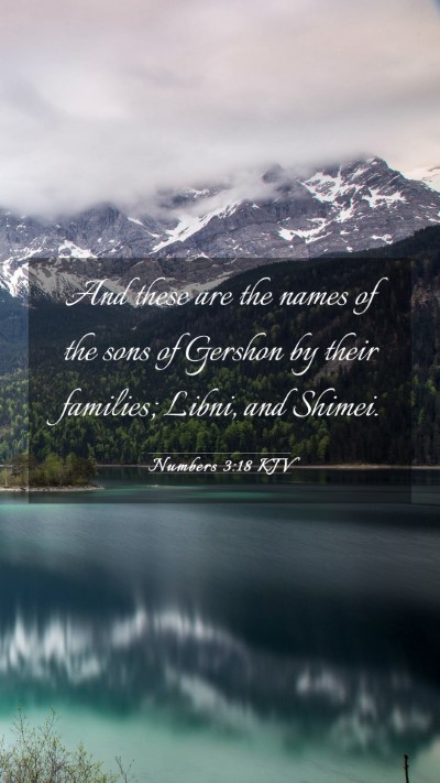 Picture 03 - Numbers 3:18 KJV Mobile Phone Wallpaper - And these are the names of the sons of Gershon by - Mobile Bible Verse Wallpaper