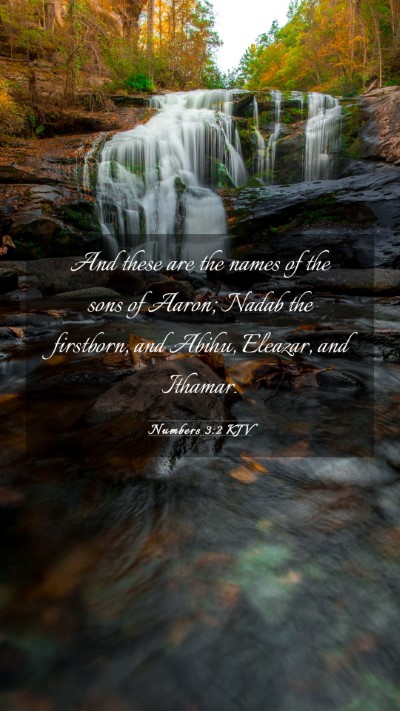 Picture 03 - Numbers 3:2 KJV Mobile Phone Wallpaper - And these are the names of the sons of Aaron; - Mobile Bible Verse Wallpaper