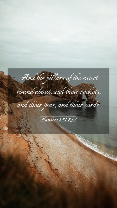 Picture 03 - Numbers 3:37 KJV Mobile Phone Wallpaper - And the pillars of the court round about, and - Mobile Bible Verse Wallpaper