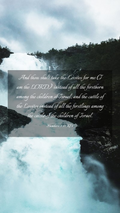 Picture 03 - Numbers 3:41 KJV Mobile Phone Wallpaper - And thou shalt take the Levites for me (I am the - Mobile Bible Verse Wallpaper