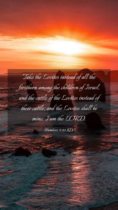 Picture 03 - Numbers 3:45 KJV Mobile Phone Wallpaper - Take the Levites instead of all the firstborn - Mobile Bible Verse Wallpaper