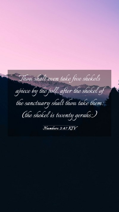 Picture 03 - Numbers 3:47 KJV Mobile Phone Wallpaper - Thou shalt even take five shekels apiece by the - Mobile Bible Verse Wallpaper