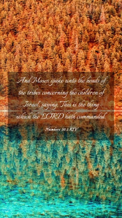 Picture 03 - Numbers 30:1 KJV Mobile Phone Wallpaper - And Moses spake unto the heads of the tribes - Mobile Bible Verse Wallpaper