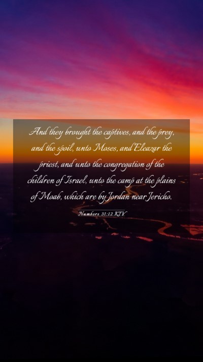 Picture 03 - Numbers 31:12 KJV Mobile Phone Wallpaper - And they brought the captives, and the prey, and - Mobile Bible Verse Wallpaper