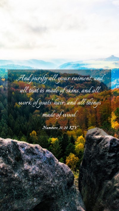 Picture 03 - Numbers 31:20 KJV Mobile Phone Wallpaper - And purify all your raiment, and all that is made - Mobile Bible Verse Wallpaper