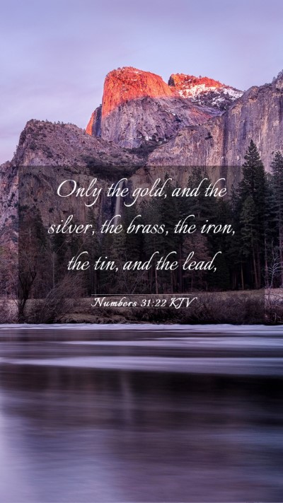 Picture 03 - Numbers 31:22 KJV Mobile Phone Wallpaper - Only the gold, and the silver, the brass, the - Mobile Bible Verse Wallpaper