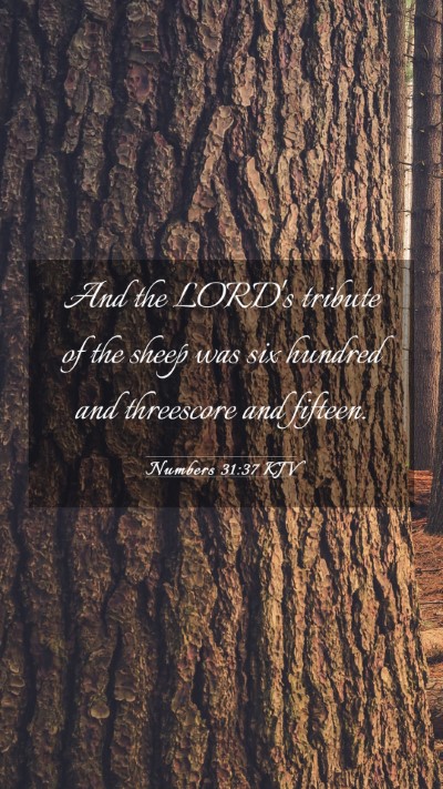 Picture 03 - Numbers 31:37 KJV Mobile Phone Wallpaper - And the LORD's tribute of the sheep was six - Mobile Bible Verse Wallpaper