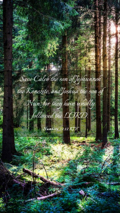 Picture 03 - Numbers 32:12 KJV Mobile Phone Wallpaper - Save Caleb the son of Jephunneh the Kenezite, and - Mobile Bible Verse Wallpaper